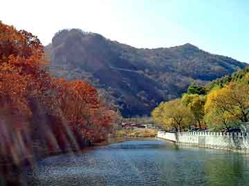 澳彩资料免费长期公开，莱芜市区地图